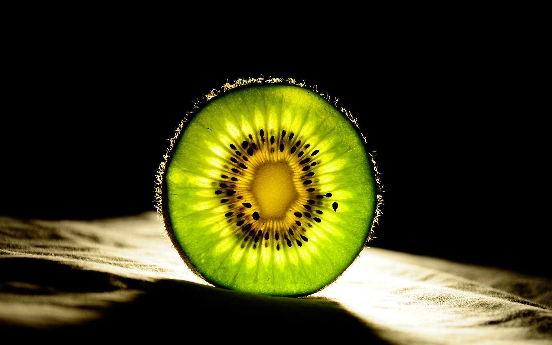 circle kiwi fruit slice green