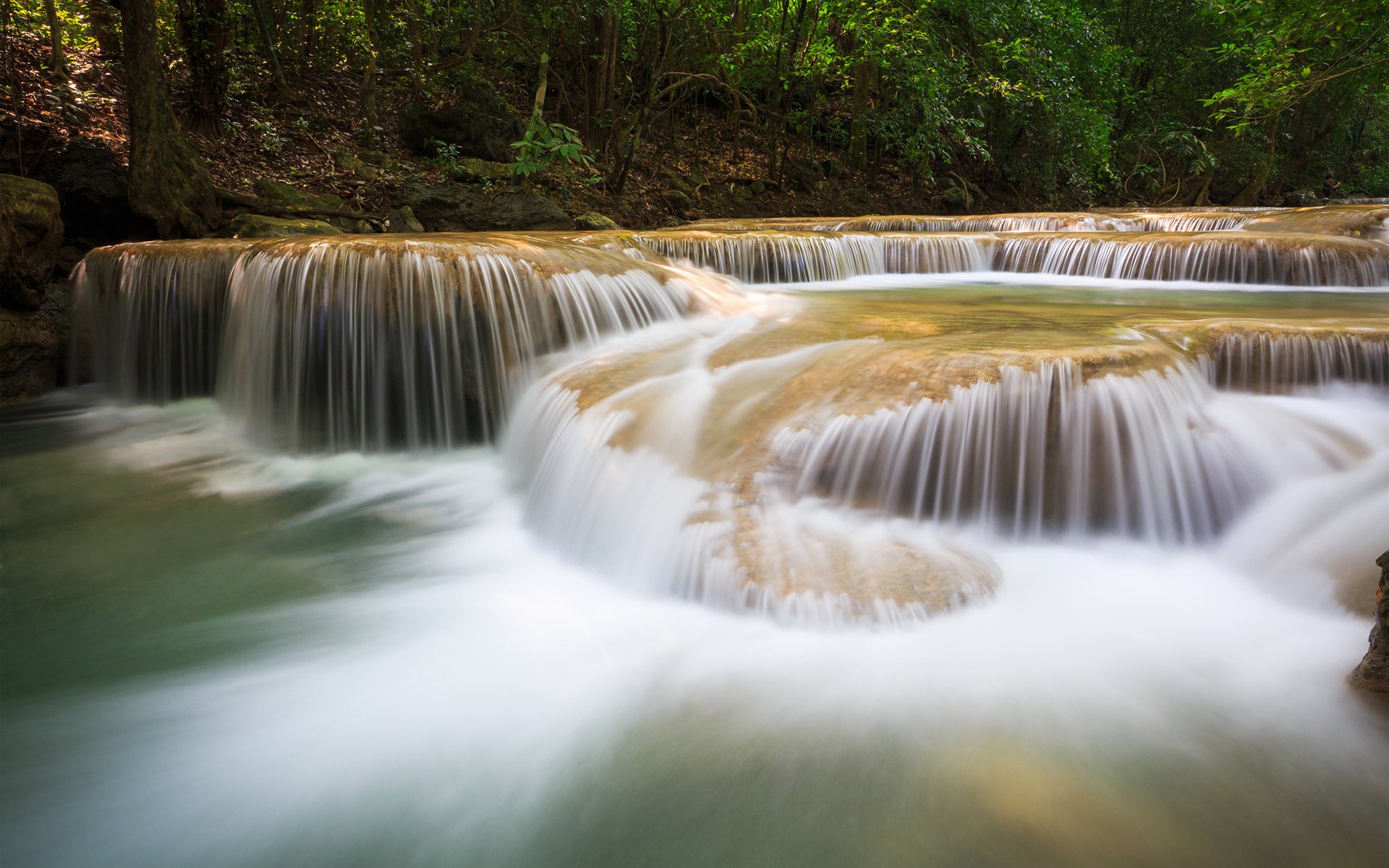 fiume acqua natura cascate foresta