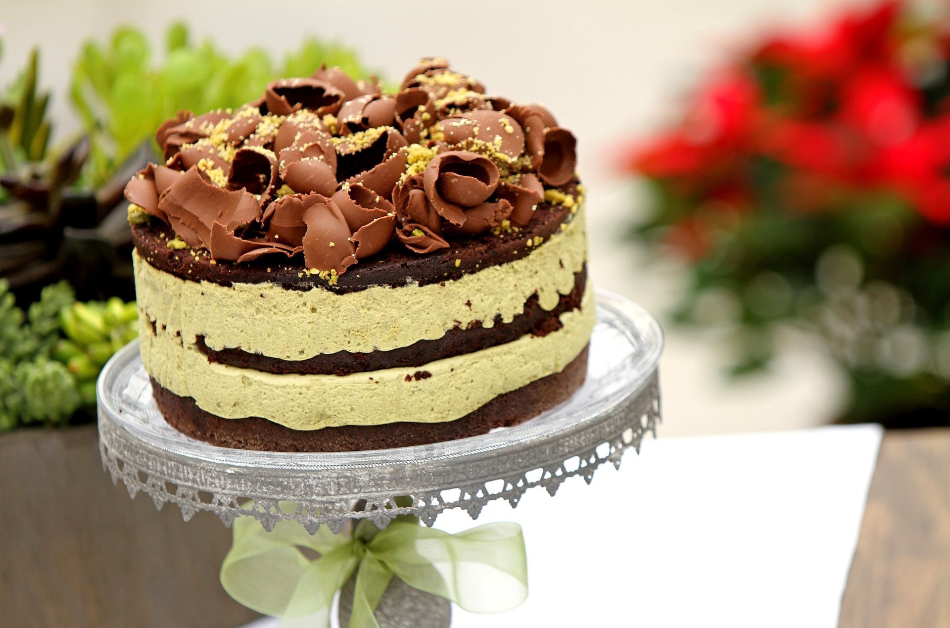 cake the sweetness chocolate delicious food dessert cream