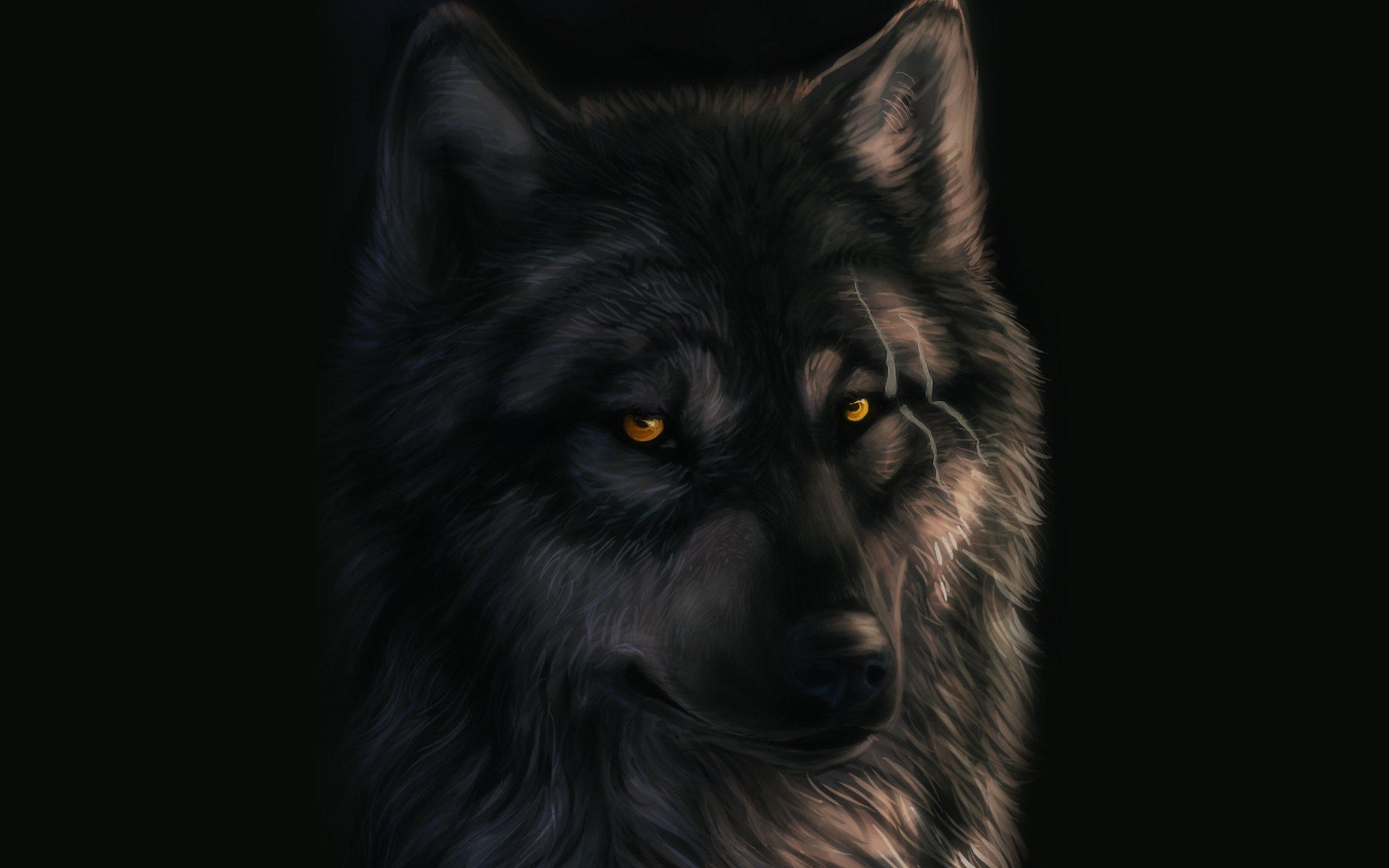 art wolf scars black background