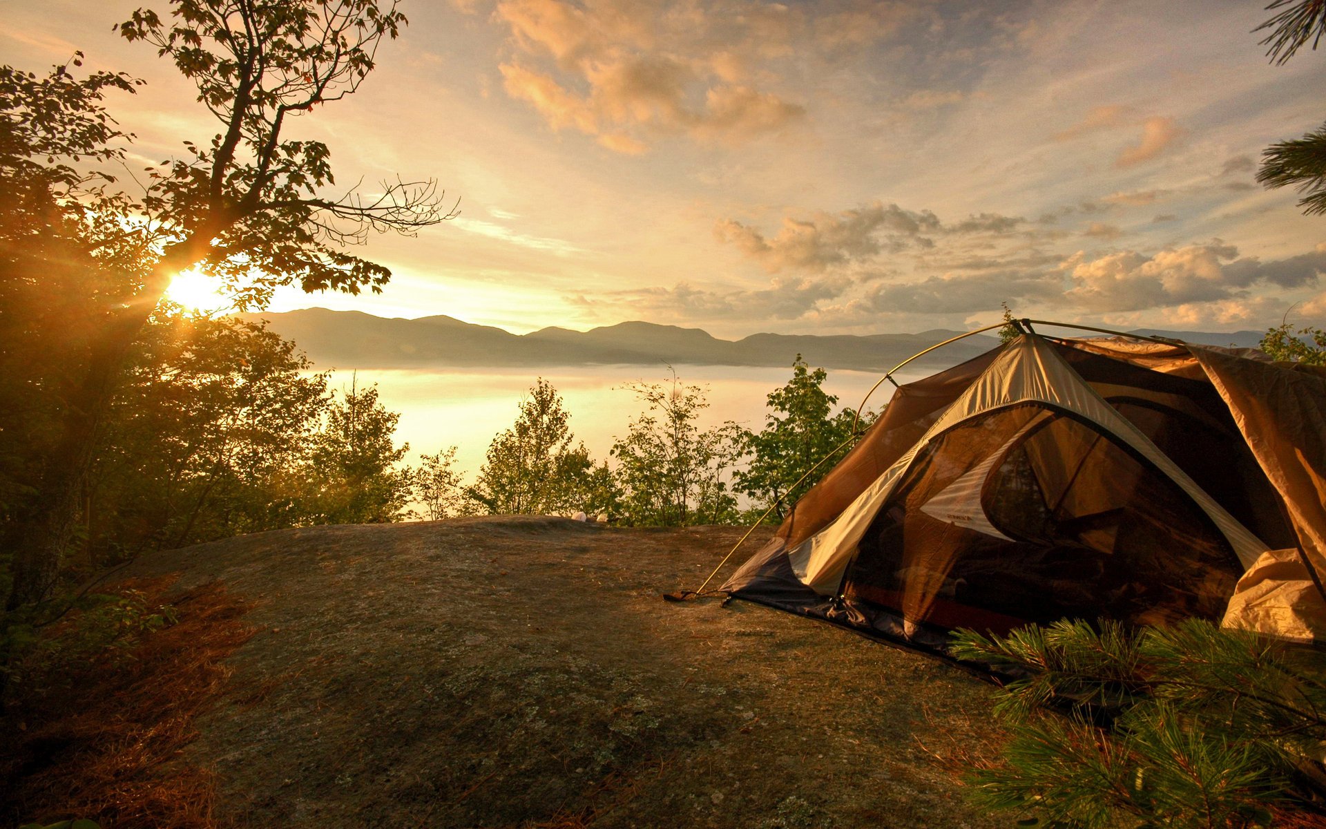 tent camping nature river trees forest stay the sky sunset the evening the river