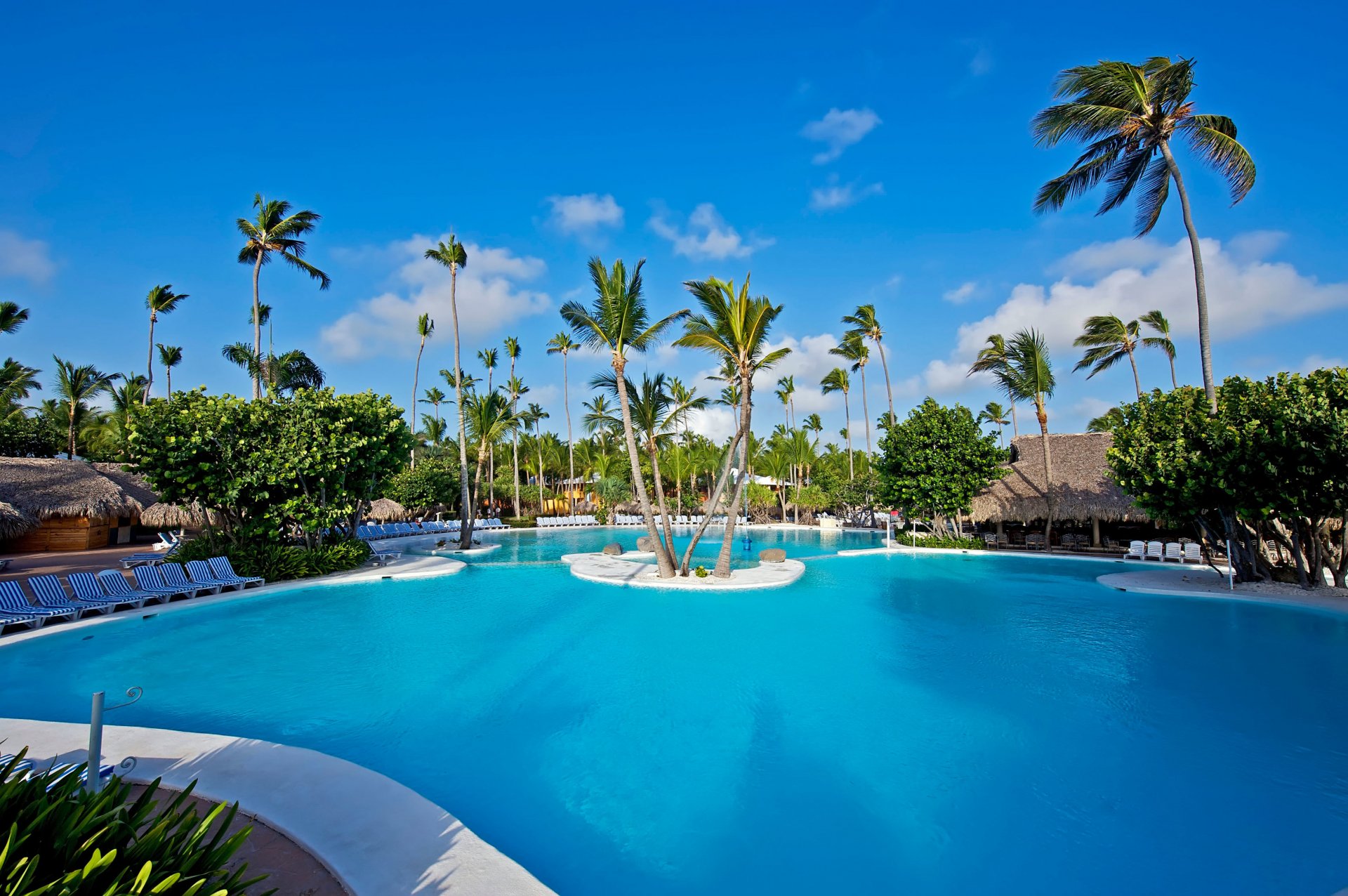 exterior swimming pool palm trees bungalows sun beds