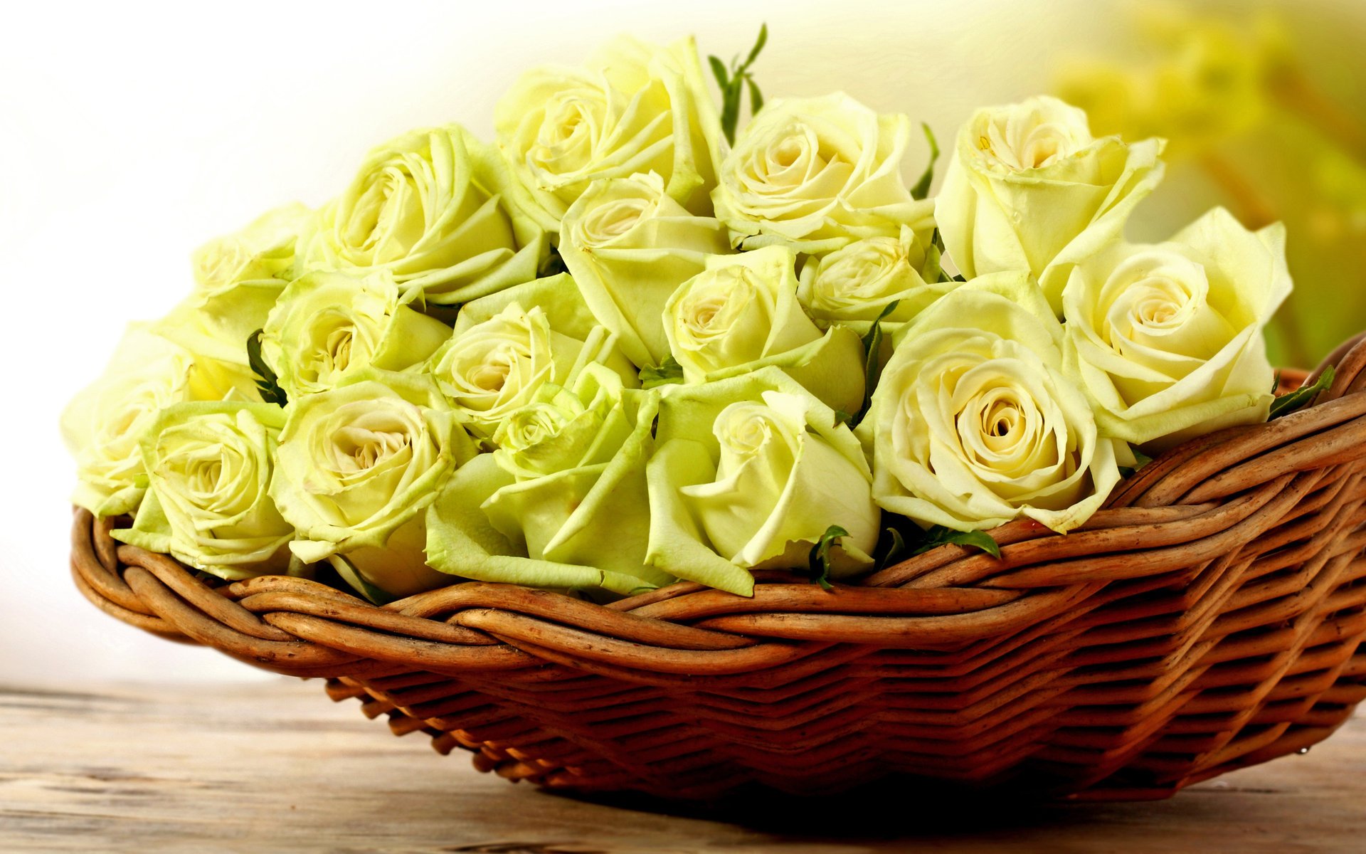 flowers roses tenderness basket yellow roses rosette