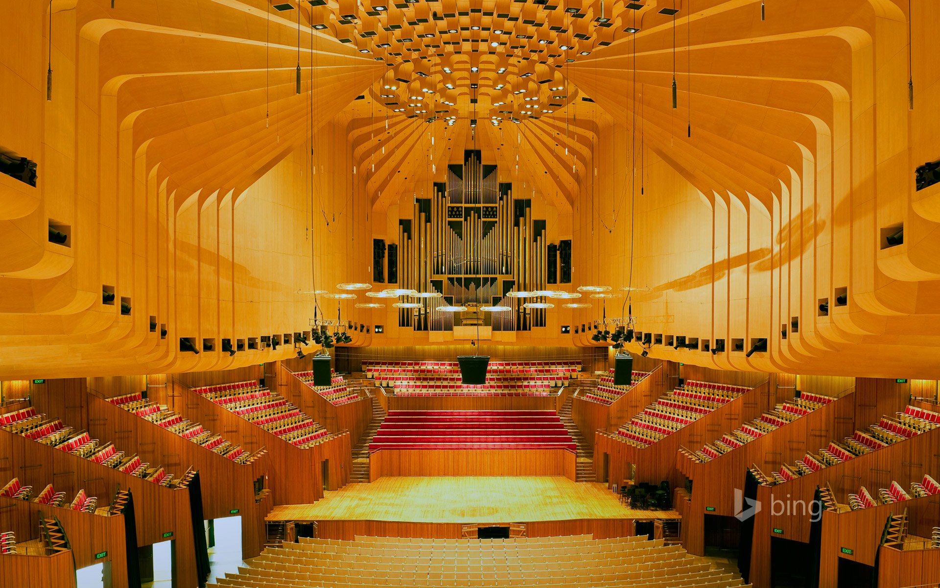 sydney opera teatro sala organo