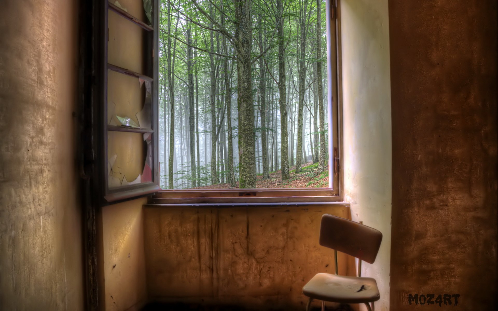 habitación ventana bosque