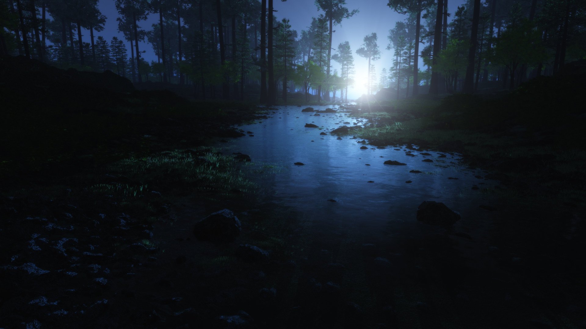 forest water morning stones dawn tree