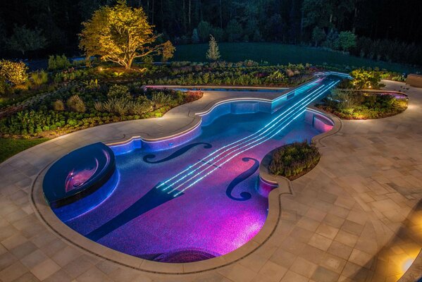 Bajo en forma de violín con luz de fondo