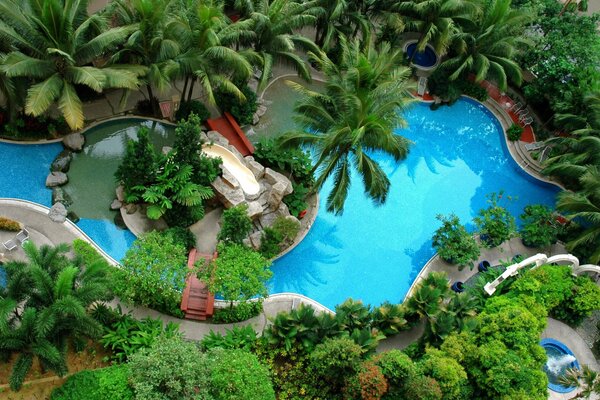 Beautiful appearance with palm trees in the jacuzzi