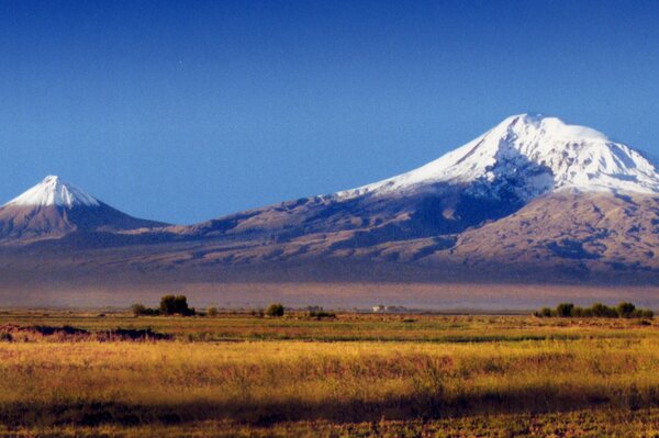 Prato dorato sullo sfondo del monte Ararat