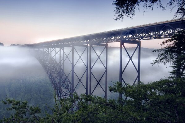 The long bridge over the clouds is in full bloom