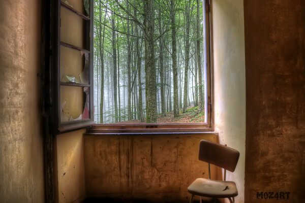 Una vieja ventana rota y el bosque detrás de ella