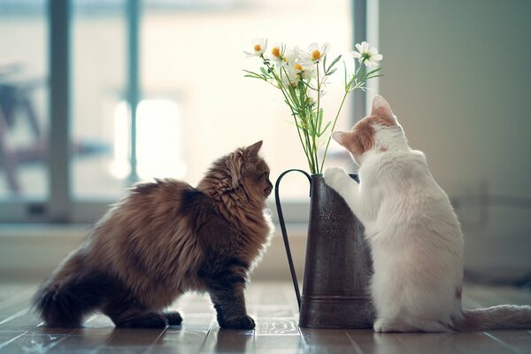 Süße Kätzchen schnüffeln Blumen