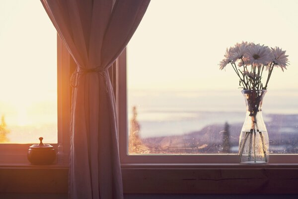 Flowers on the windowsill will cheer you up