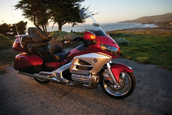 A gorgeous red motorcycle is standing by a tree