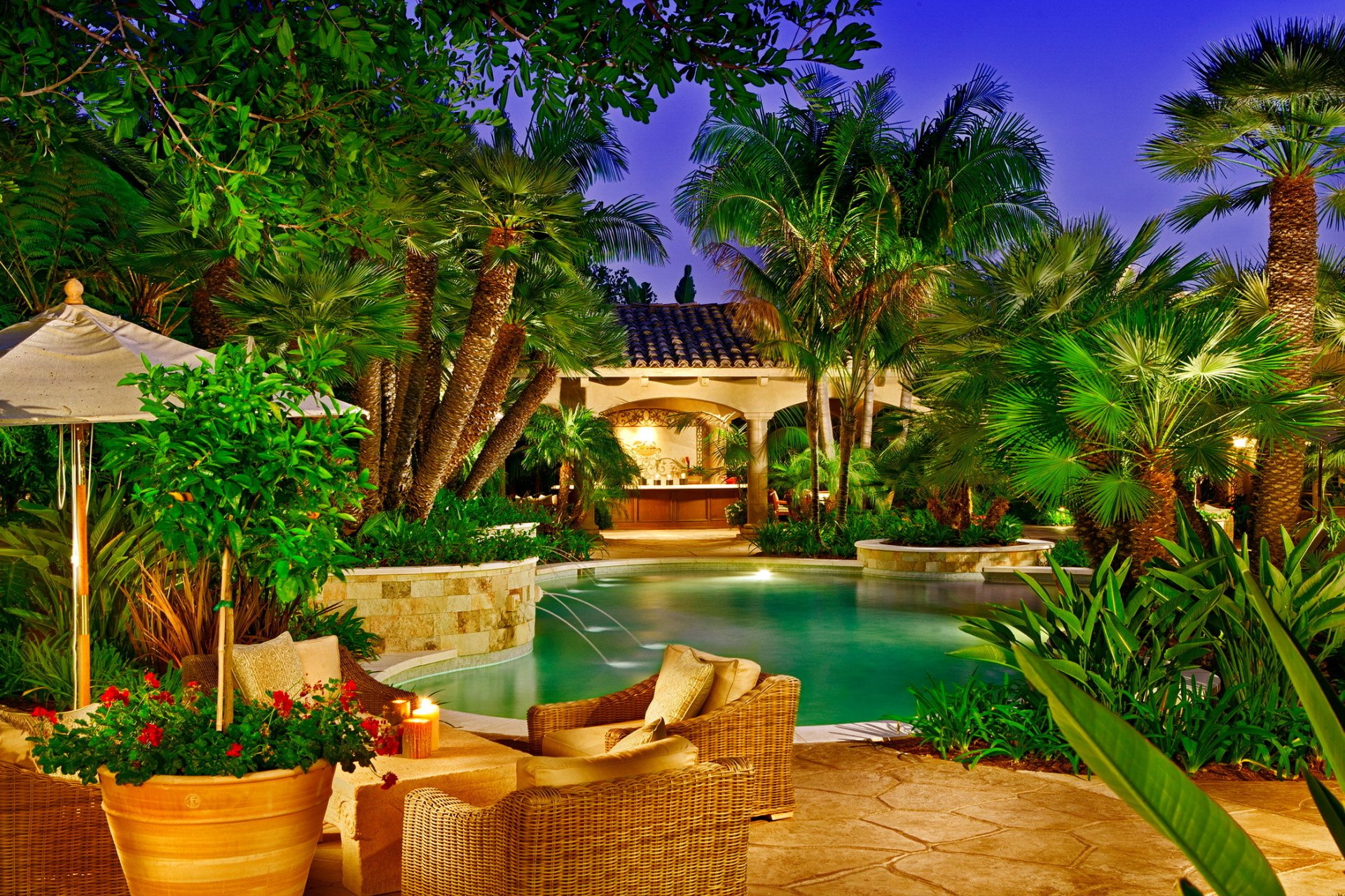 villa palm pool exotic