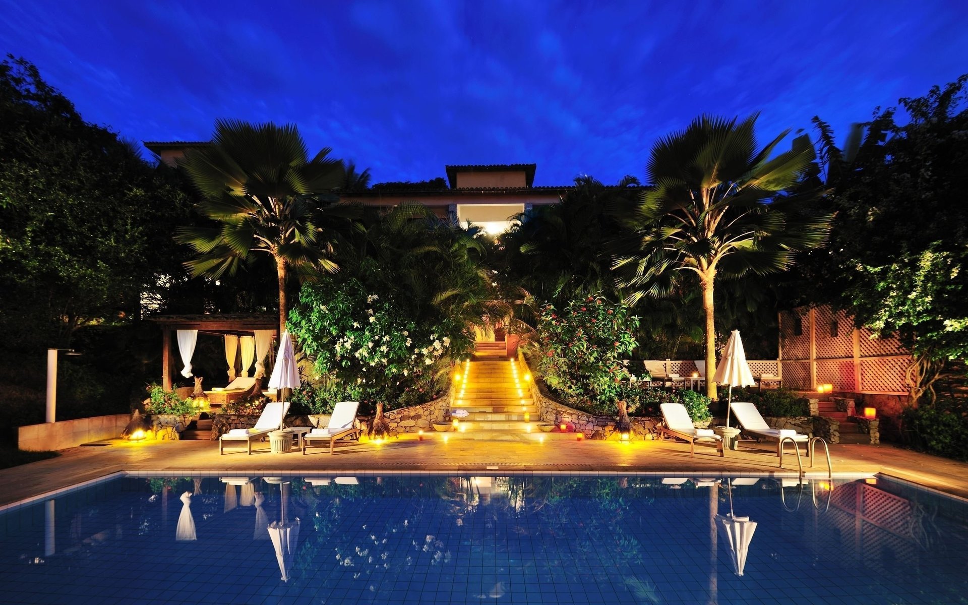 soirée piscine plantes palmiers arbres hôtel