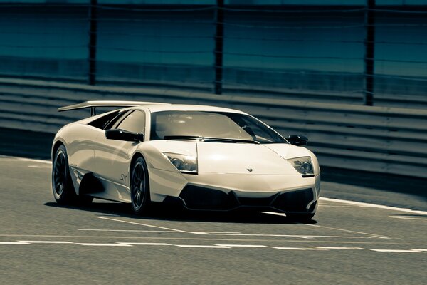 Lamborghini Murcielago bianco sulla strada