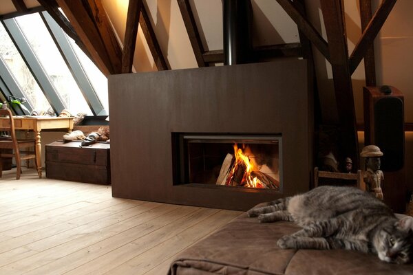 Elegante diseño de Loft y chimenea con gato