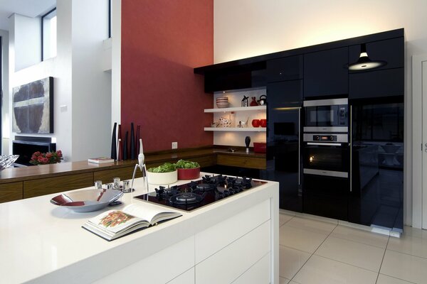 Black and white kitchen design solution