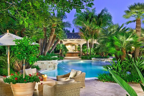 Swimming pool with wicker furniture and palm trees