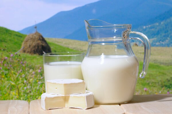 Vor dem Hintergrund der Berge und Wiesen in einem Krug Milch und brie