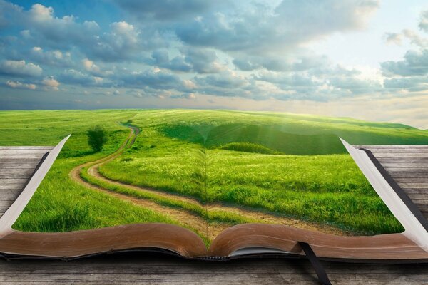 Book grass road landscape world