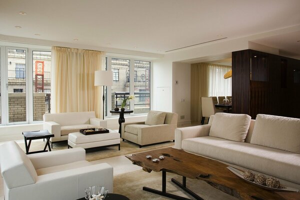 Interior of the living room with two sofas