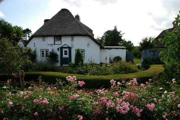 Casa interessante con piccole finestre e rose