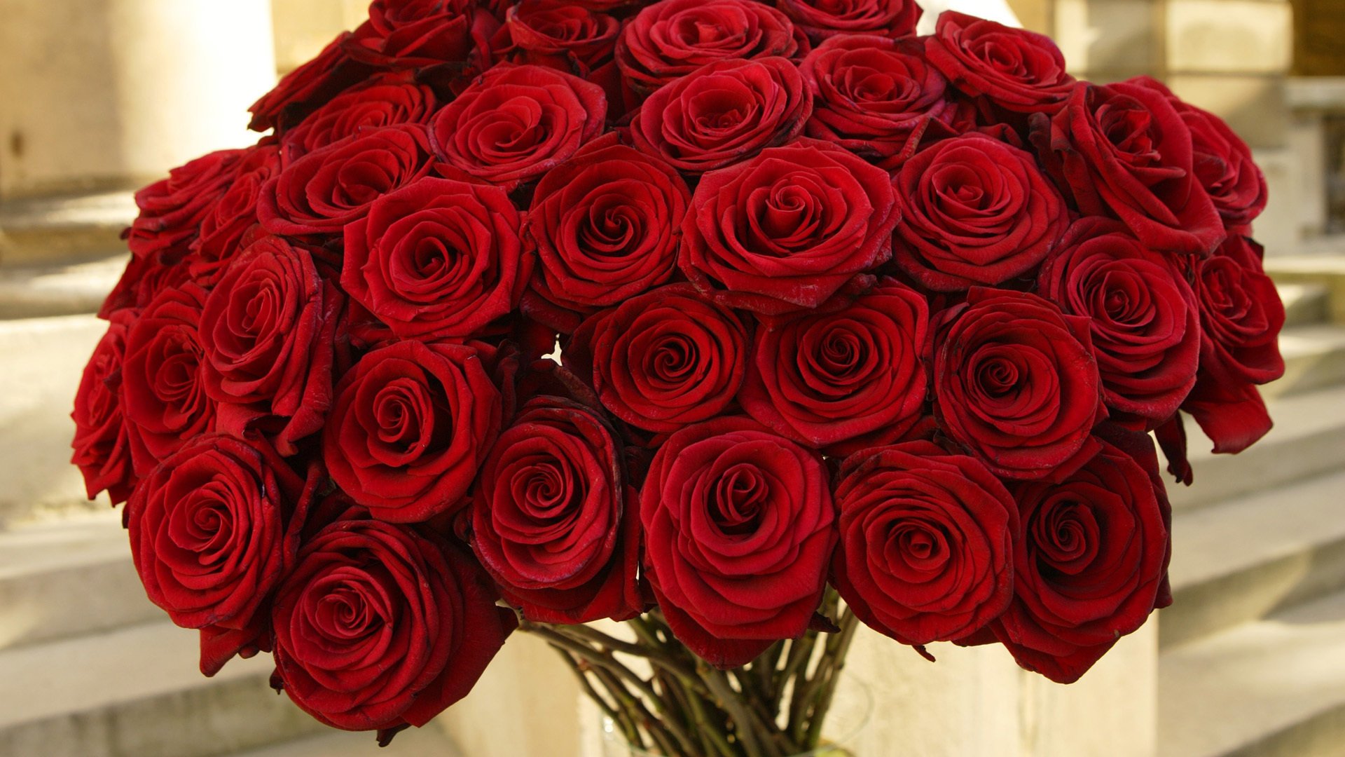 fleurs roses rouges bouquet