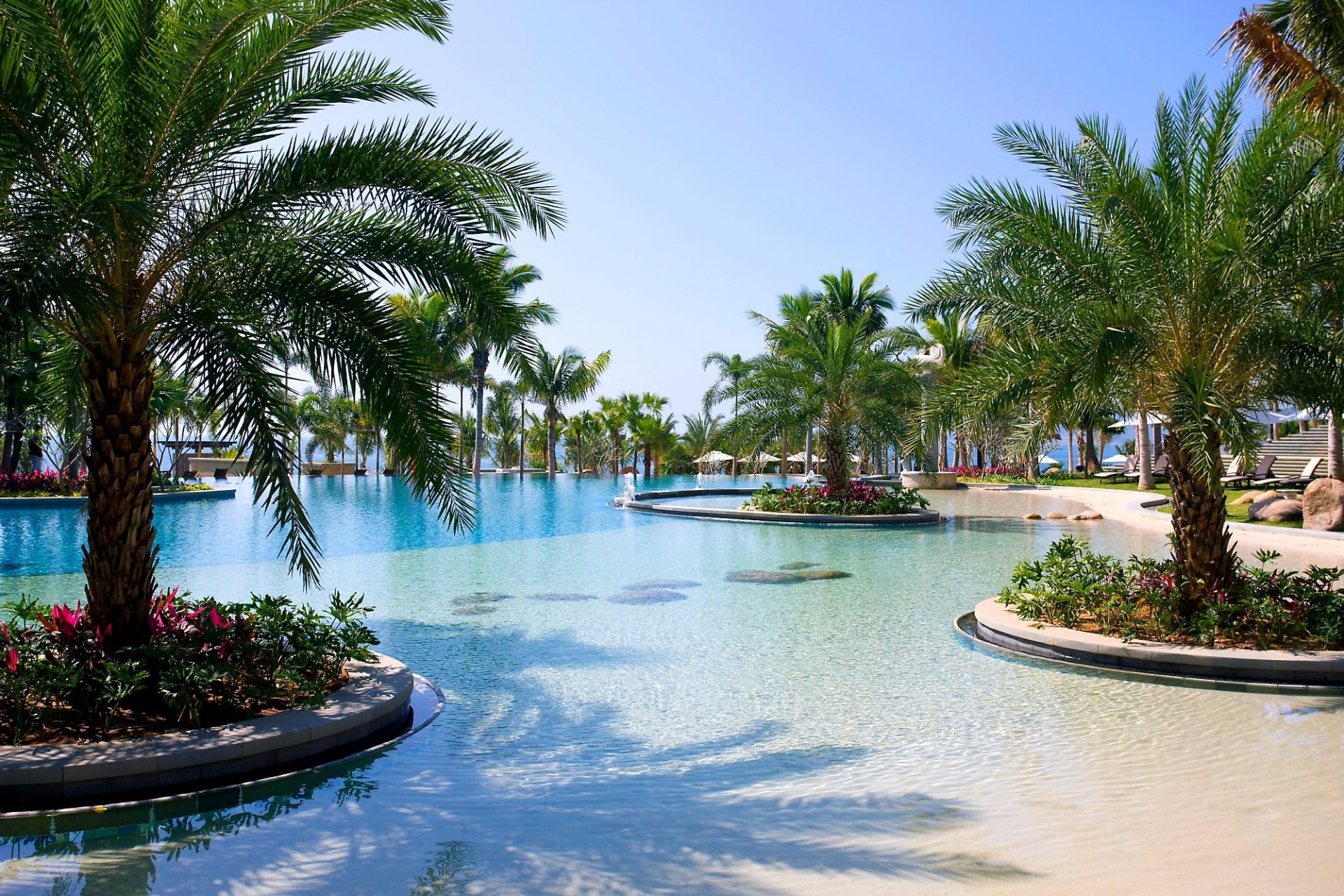 extérieur piscine palmiers arbres fleurs chaises longues station balnéaire sanya