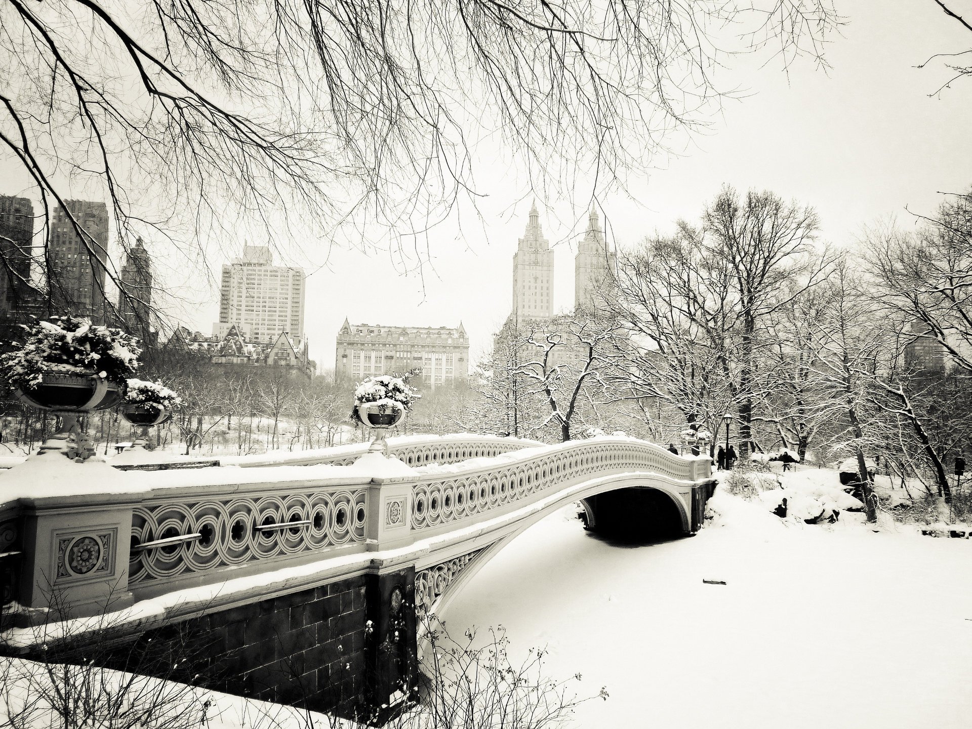 new york city bow bridge central park usa нью-йорк nyc сша manhattan