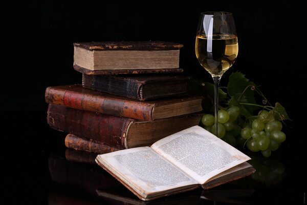 El olor del libro de impresión de papel y el sabor del vino es el sabor más ideal para relajarse