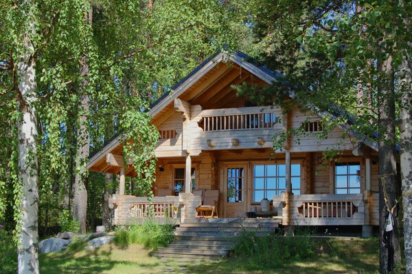 Maison en bois dans la forêt de bouleaux