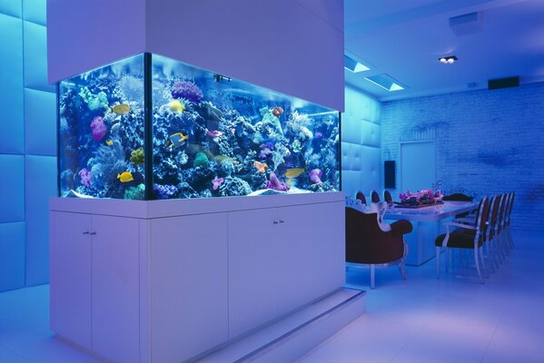 Hermosa habitación interior con acuario