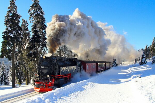 Dampflokomotive vor dem Hintergrund des Winterwaldes