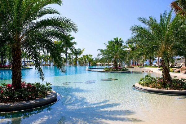 Spiaggia con piscina e palme nel resort