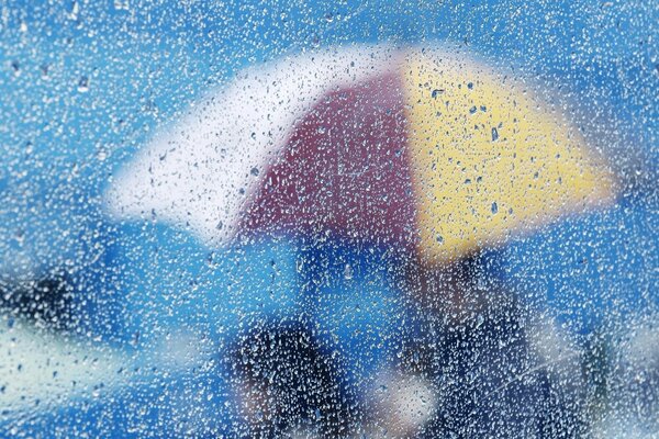 Bright umbrella: a look through the drops