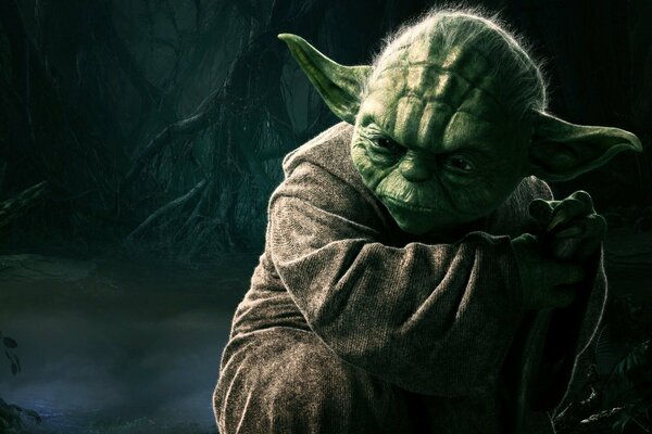 Meister Yoda denkt nach und sitzt