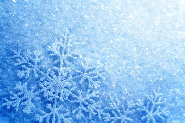 Copos de nieve y brillo asombroso de la escarcha