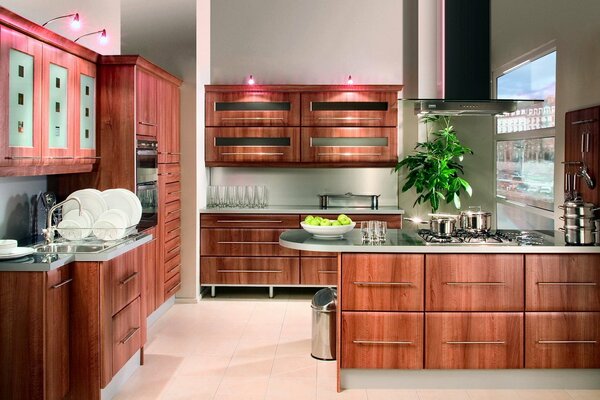 Wooden kitchen. Color combination