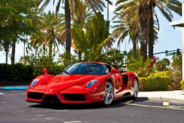 Rojo hermoso coche brilla en el sol