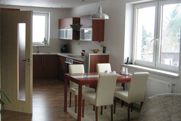 Minimalism and simplicity in the kitchen interior