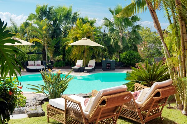 Piscine avec transats et palmiers