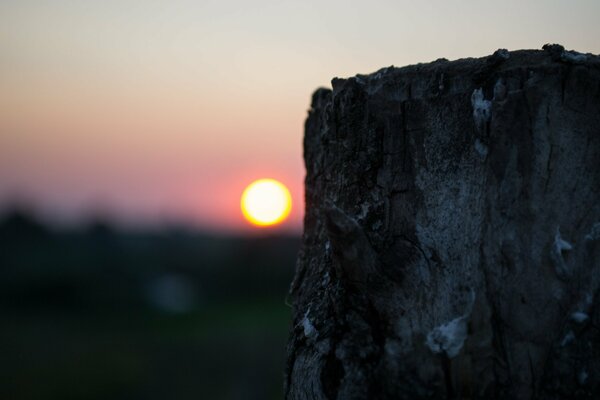 Una hermosa puesta de sol tranquila en un pueblo en la naturaleza