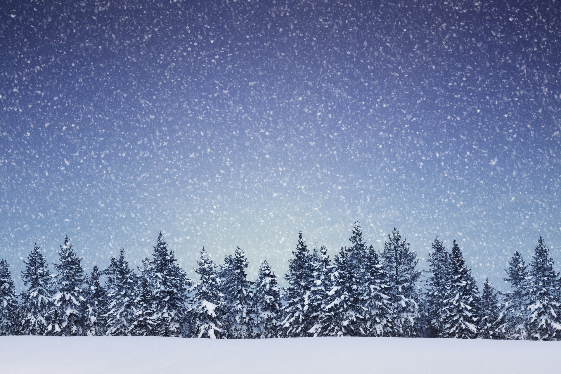 landschaft schneeflocken fichte bäume nadelwald schnee