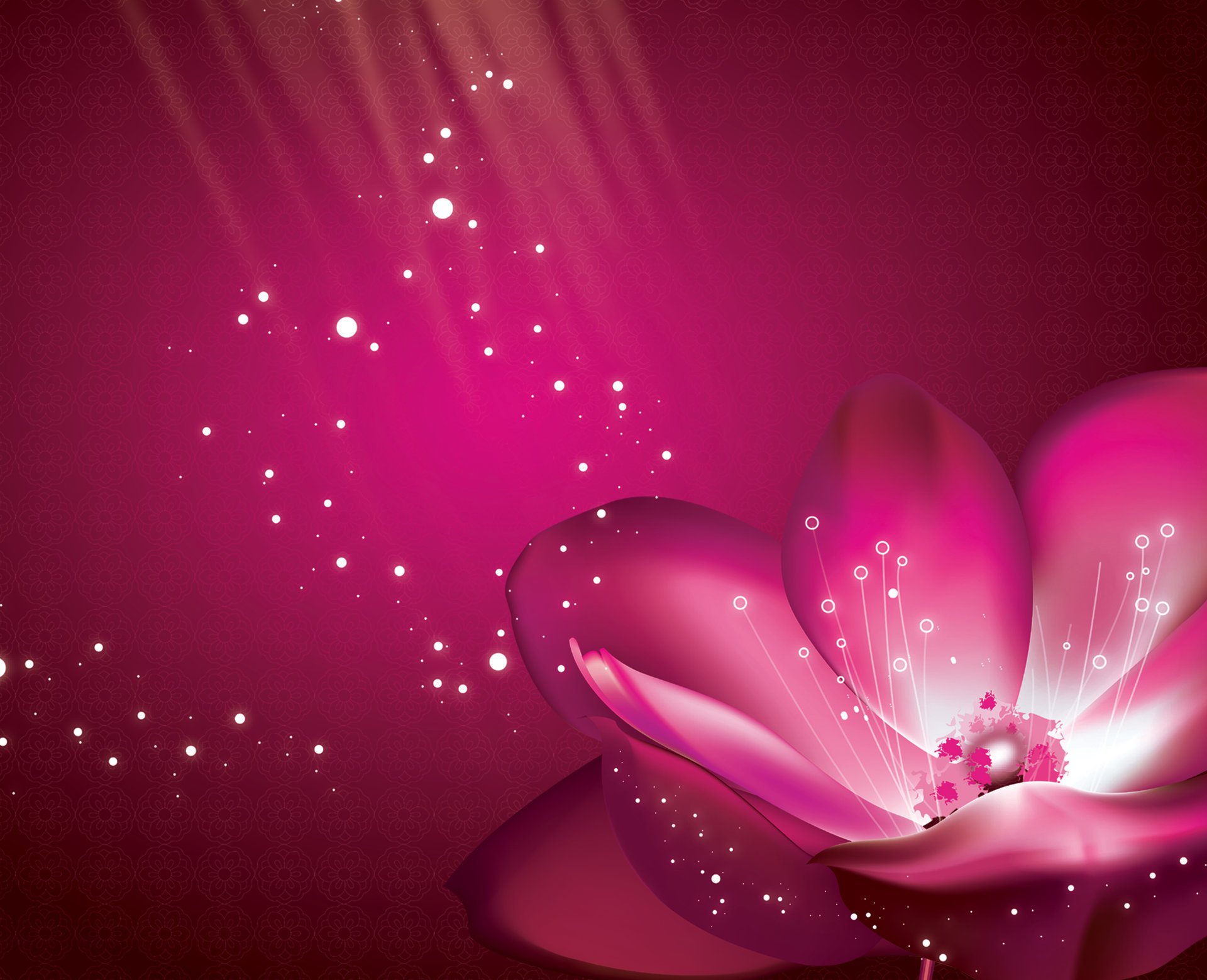 viola fiore rosa petali sfondo