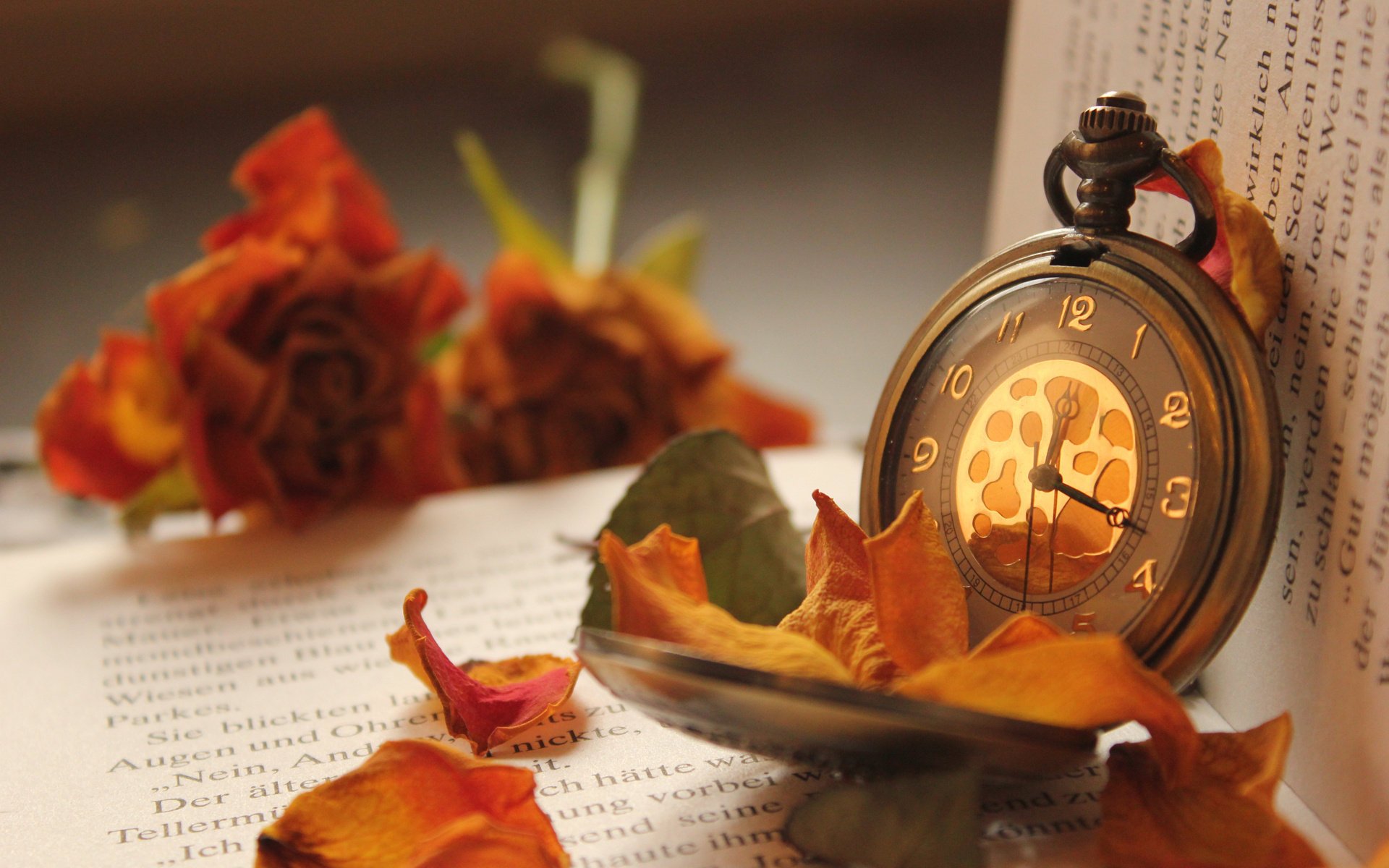 buch blumen uhr tasche blütenblätter rosen