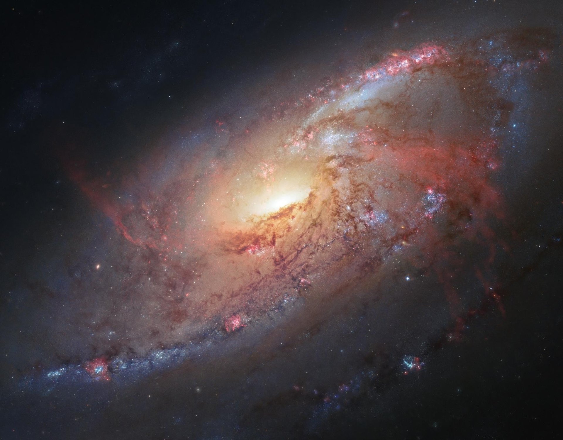 m106 espace étoiles hubble space telescope galaxie spirale