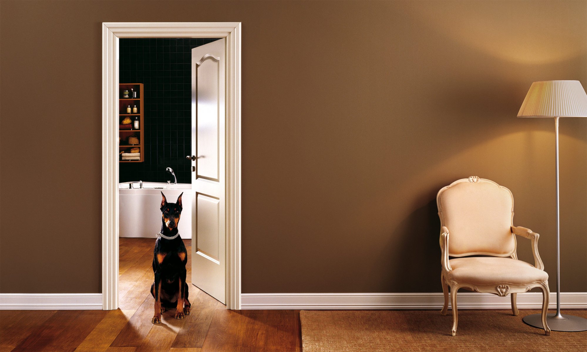 intérieur salle de bain chaise chien