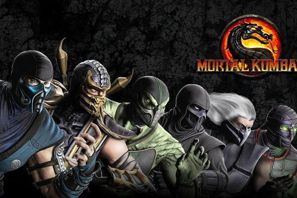 Ce sont les personnages de mortal Kombat ninja Scorpion et sabziro